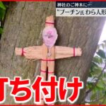 【72歳男逮捕】“プーチン氏のわら人形”神社のご神木に打ち付け　松戸市