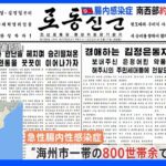 北朝鮮「急性腸内性感染症」南西部約800世帯で発生　韓国報道「腸チフスやコレラの可能性」｜TBS NEWS DIG