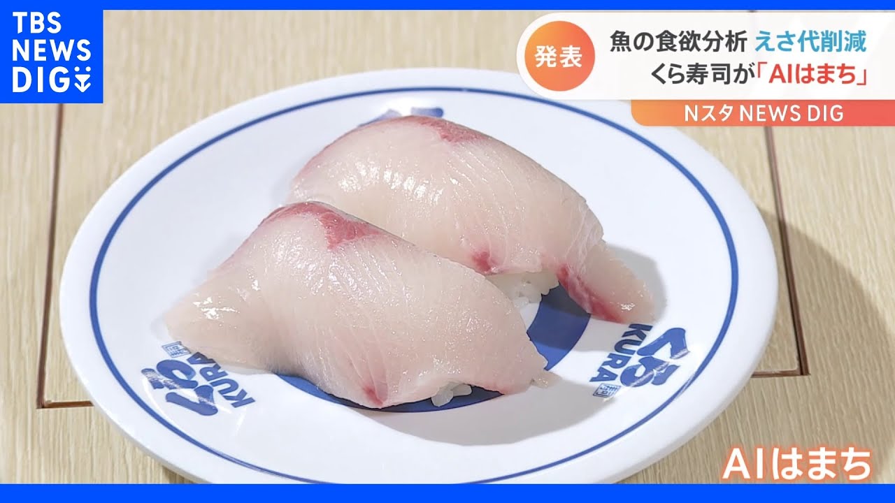 “AIはまち”誕生&nbsp;くら寿司が最新技術で養殖&nbsp;エサ代高騰に新たな一手｜TBS&nbsp;NEWS&nbsp;DIG