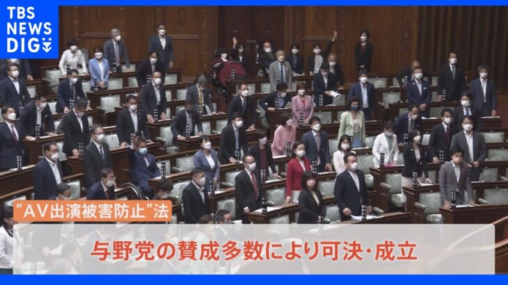 【速報】AV出演被害防止・救済法が成立｜TBS NEWS DIG