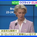 EU首脳会議　ウクライナを「加盟候補国」に認定｜TBS NEWS DIG