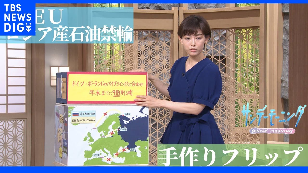 “制裁”&nbsp;EUが「ロシア産石油」海上ルート禁輸で合意…世界最長「ドルジバパイプライン」とは？【サンデーモーニング】【手作り解説】｜TBS&nbsp;NEWS&nbsp;DIG