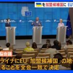 「ヨーロッパにとって素晴らしい日」　EU首脳会議、ウクライナを「加盟候補国」に認定｜TBS NEWS DIG