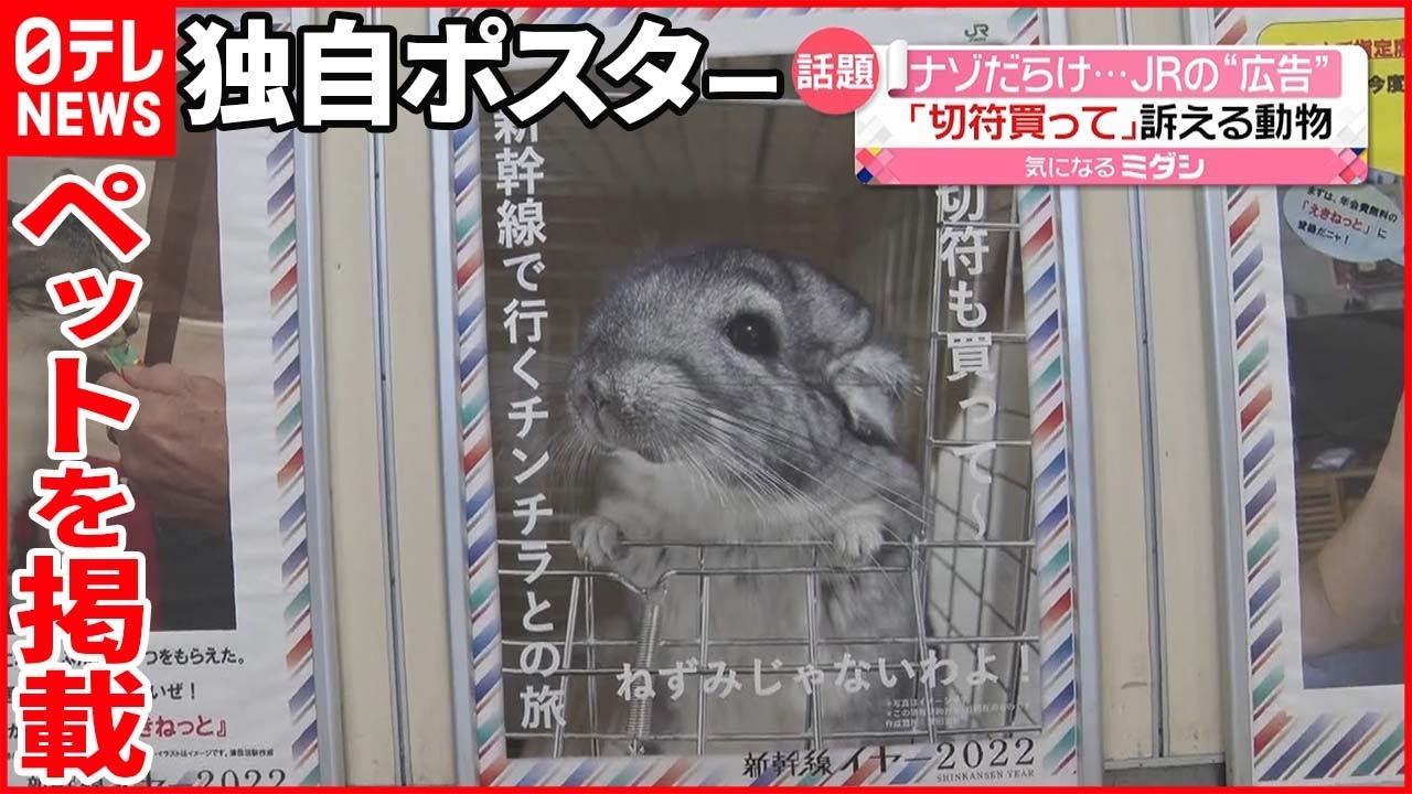 【JR津田沼駅】「私の切符も買って」チンチラが訴えるポスター