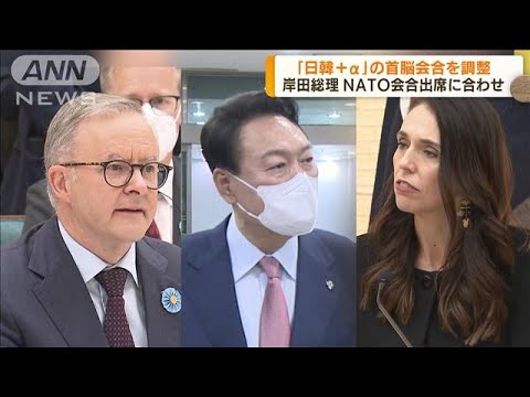 総理　NATO首脳会合に合わせ各国首脳との会談を調整(2022年6月21日)