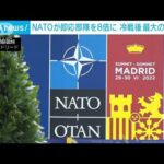 「冷戦後 最大の見直し」NATO 即応部隊を8倍近く増強(2022年6月28日)
