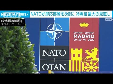 「冷戦後 最大の見直し」NATO 即応部隊を8倍近く増強(2022年6月28日)