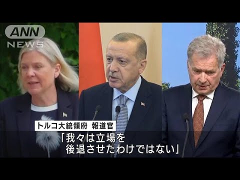 加盟反対のトルコ大統領　NATO会合前に北欧2カ国と会談へ(2022年6月27日)