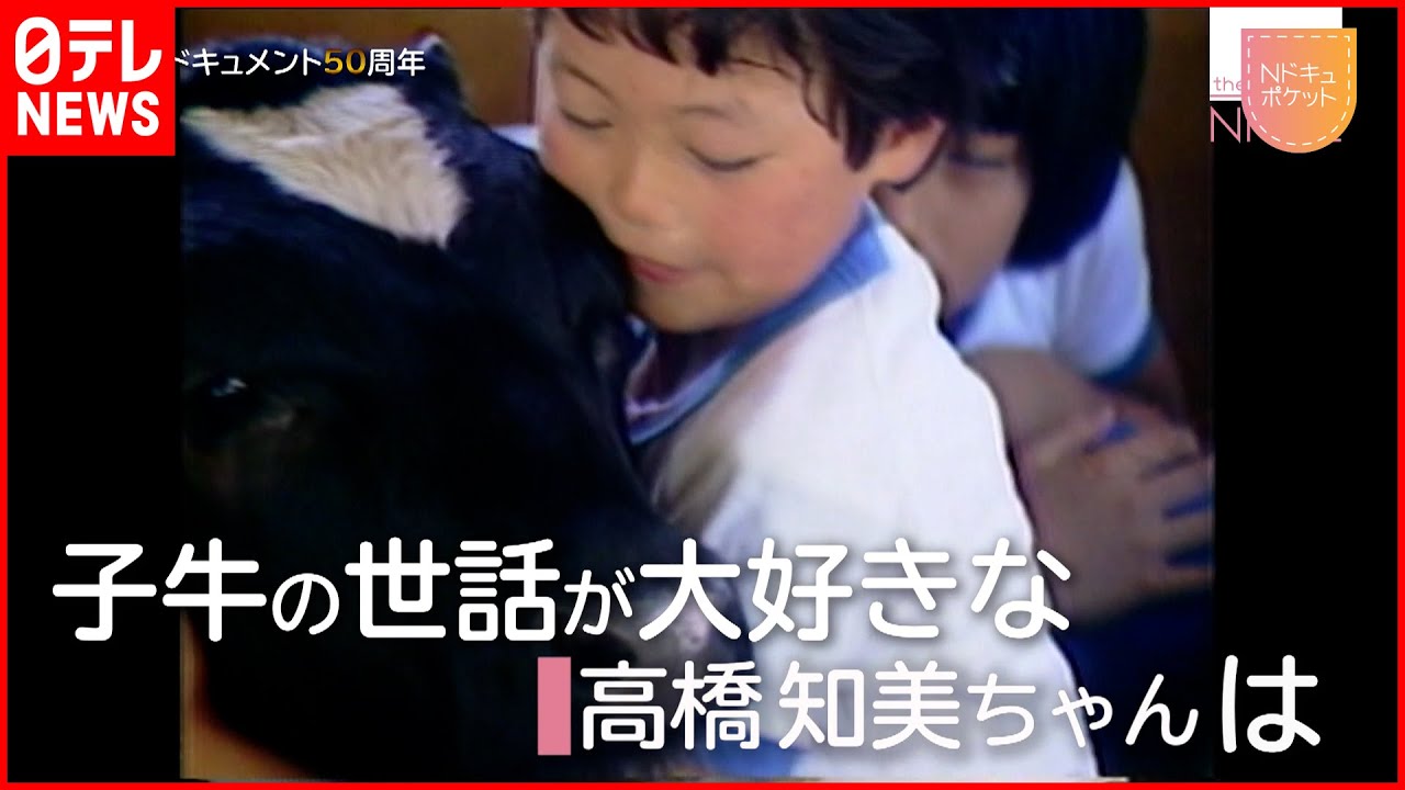 【NNNドキュメント】獣医になった少女 26年前の子牛がくれた夢と人生　NNNセレクション