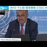 サル痘「世界的な流行は異常」WHO　緊急委員会を開催へ(2022年6月15日)