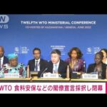 【速報】WTO　食料安全保障など盛り込む閣僚宣言を採択(2022年6月17日)