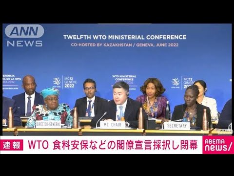 【速報】WTO　食料安全保障など盛り込む閣僚宣言を採択(2022年6月17日)