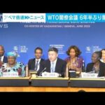 “何も決められない”WTOで6年半ぶりの閣僚宣言(2022年6月17日)