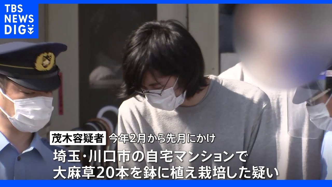 「栽培方法をYouTubeで見た」自宅マンションで大麻栽培した疑いで31歳男逮捕｜TBS&nbsp;NEWS&nbsp;DIG
