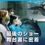 「思いは1つ」油壺マリンパーク 閉館の舞台裏