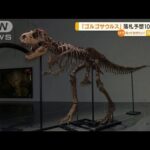 「ゴルゴサウルス」骨格標本　落札予想“10億円超”(2022年7月8日)