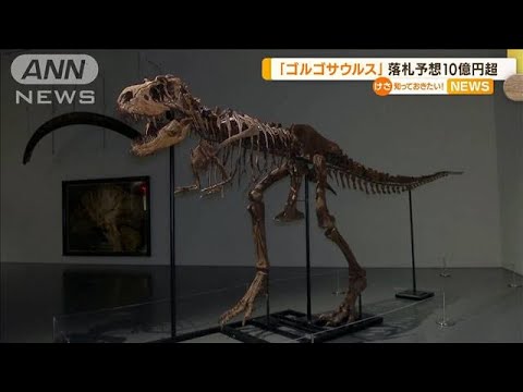 「ゴルゴサウルス」骨格標本　落札予想“10億円超”(2022年7月8日)