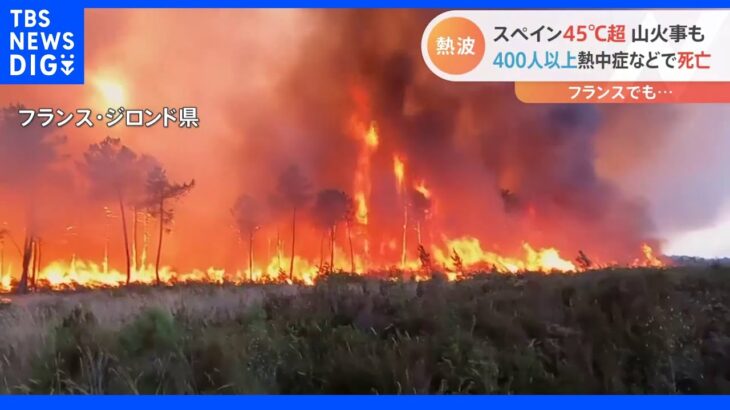 欧州で“異常熱波”　熱中症などで1000人以上死亡　各地で大規模な山火事相次ぐ｜TBS NEWS DIG