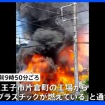 八王子市の工場で火事 110平方メートルが全焼｜TBS NEWS DIG