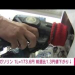 【速報】ガソリン価格173.6円　前週から1.3円下がる　5週ぶりの値下がり(2022年7月6日)