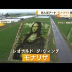 田んぼアート「モナリザ」再挑戦　19年前のリベンジ(2022年7月15日)