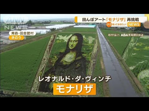 田んぼアート「モナリザ」再挑戦　19年前のリベンジ(2022年7月15日)
