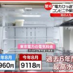 【電力不足が懸念】電気代値上げも… 東京電力社員に聞く節電の“秘策”