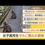 【朝まとめ】「女子高校生　サルに襲われ軽傷」ほか3選(2022年7月1日)