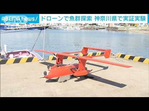 ドローンで魚群探索　鳥の群れから効率よく発見　神奈川で実証実験(2022年7月1日)