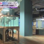 廃校の小学校が水族館に！神戸・兵庫区の「みなとやま水族館」　卒業生の工務店社長のアイデアで実現