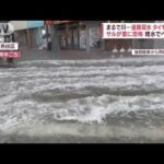 サルが雷に恐怖　増水でヘリ救助…各地で大雨被害　台風4号の影響も(2022年7月3日)