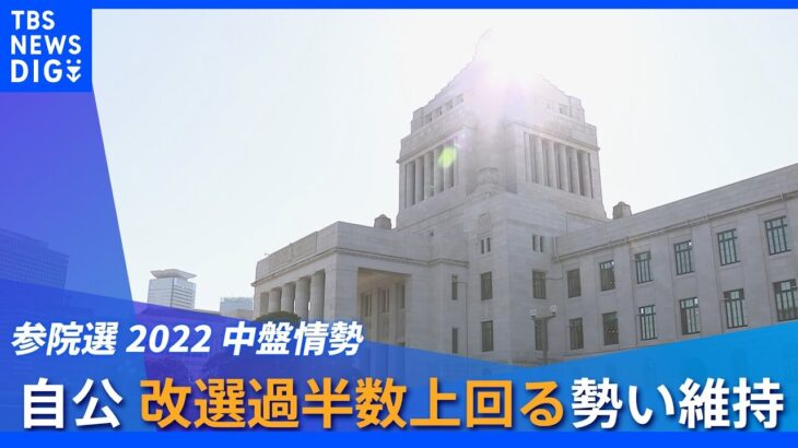 自公が勢いを維持 改選議席の過半数上回る勢い 参院選中盤情勢｜TBS NEWS DIG