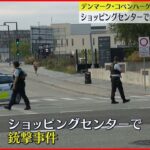 【デンマーク】ショッピングセンターで銃撃事件…3人死亡