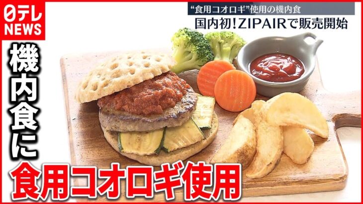 【国内初！】“食用コオロギ”使った機内食販売開始 ZIPAIR