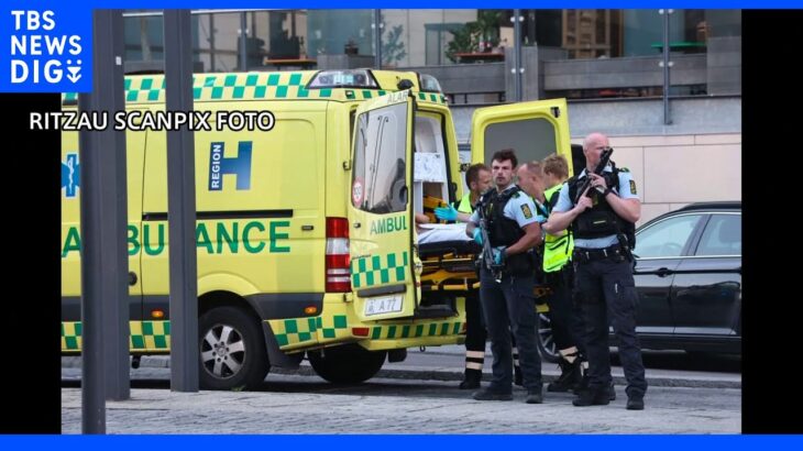 コペンハーゲンの銃乱射事件　警察「テロだと示すものは今のところない」　容疑者は過去に銃を持った動画を投稿｜TBS NEWS DIG