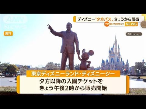 東京ディズニーリゾート“夕方パス”きょうから販売(2022年7月5日)