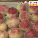 “高級品種の桃”育てる農家は大雨の影響懸念　水不足を心配していた中での雨だが…（2022年7月5日）