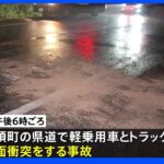 那須町で軽乗用車とトラックが事故 2人死亡 1人重傷｜TBS NEWS DIG