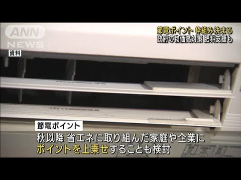 “節電ポイント”枠組み決定　政府の物価高対策(2022年7月15日)