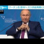 プーチン氏　欧州への天然ガス供給再開に懐疑的(2022年7月21日)