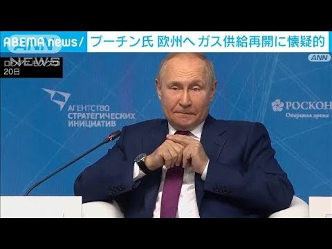 プーチン氏　欧州への天然ガス供給再開に懐疑的(2022年7月21日)