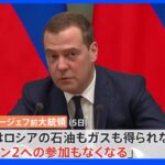 「サハリン2への日本の参加なくなる」ロシア前大統領｜TBS NEWS DIG