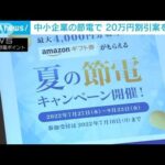 政府が中小企業の節電で割引料金「20万円」上乗せ案を検討(2022年7月15日)