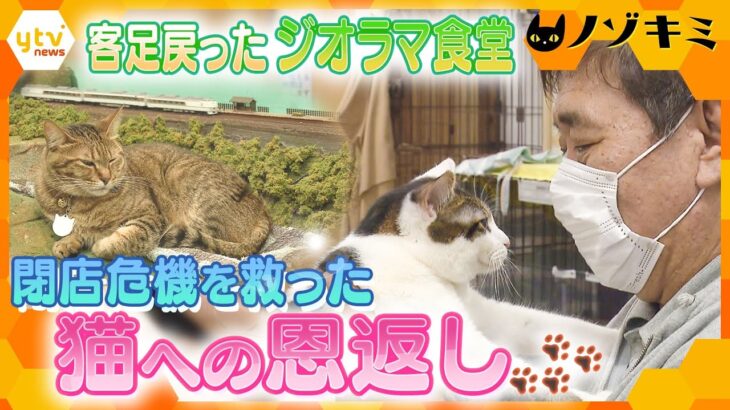 コロナ禍で閉店危機…猫に助けられた「ジオラマ食堂」のその後　店主が取り組む保護活動