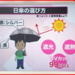 【解説】男性にも大人気…「日傘」を選ぶコツは？　傘ソムリエに聞く