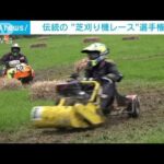 伝統の“芝刈り機レース”選手権　英(2022年7月5日)