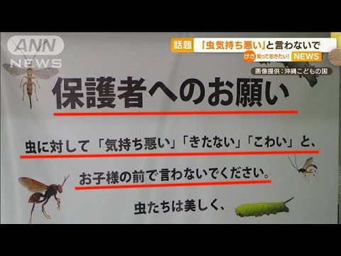 【話題】「虫気持ち悪い言わないで」保護者へ…“子どもの感情大事に”　沖縄の企画展(2022年7月8日)