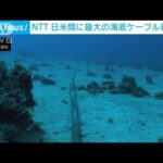 日米間に”最大“海底ケーブル建設へ　ネット拡大に対応(2022年7月12日)