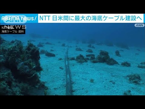 日米間に”最大“海底ケーブル建設へ　ネット拡大に対応(2022年7月12日)