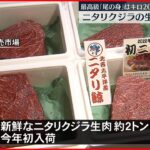 【ニタリクジラ】生肉の初競り 「尾の身」最高値キロ20万円 仙台市中央卸売市場